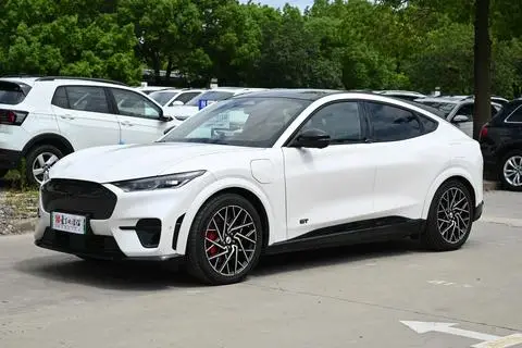 Ford 电马 2021