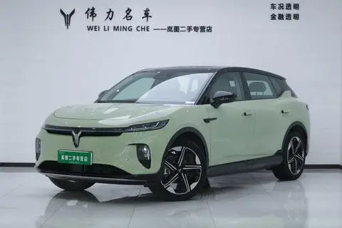 Voyah 知音 2024