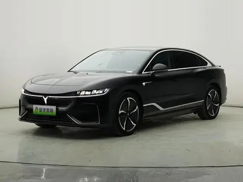 Voyah 追光 EV 2023