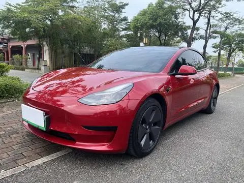 Tesla Model 3 2021 — фото 1