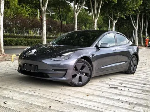 Tesla Model 3 2021 — фото 1