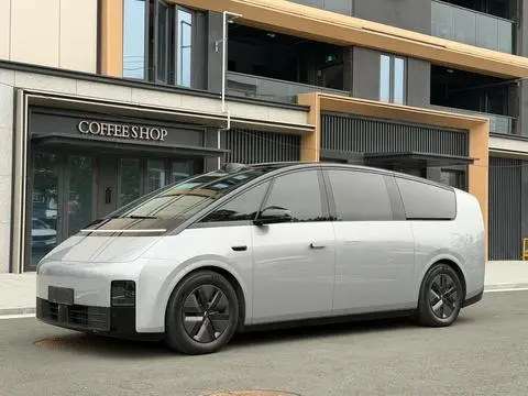 Li MEGA 2024