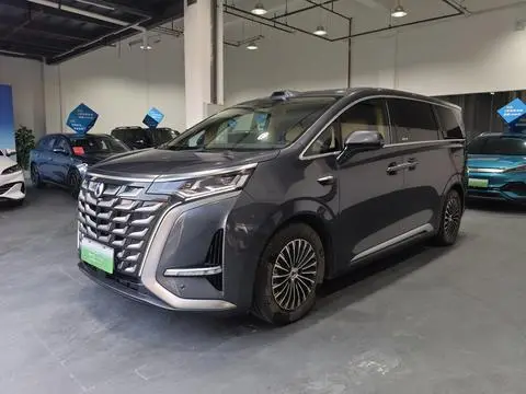 Denza D9 DM 2025