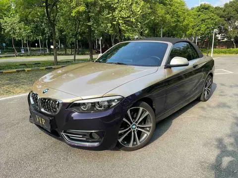 BMW 2 Series 2019