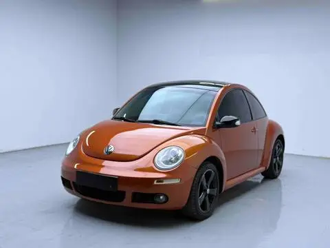 Volkswagen 甲壳虫 2010