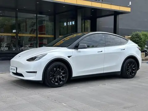 Tesla Model Y 2021 — фото 1