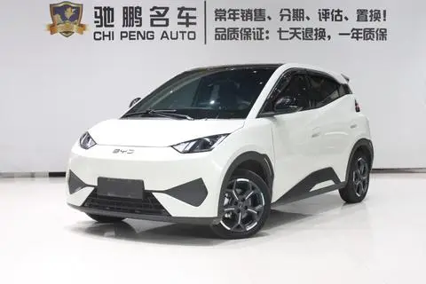 BYD Seagull 2025