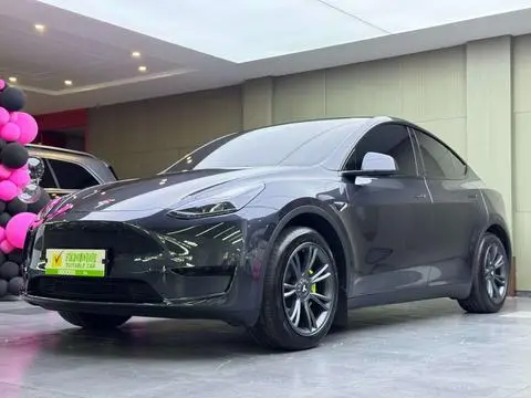 Tesla Model Y 2024 — фото 1