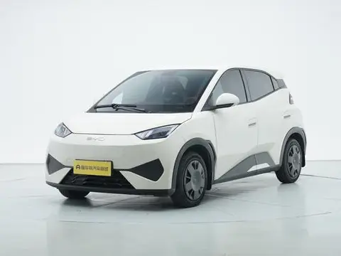 BYD Seagull 2025