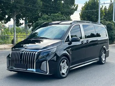 Mercedes-Benz 威霆 2024