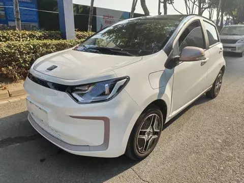JAC (Sihao) 花仙子 2022