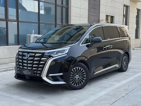 Denza D9 DM 2022