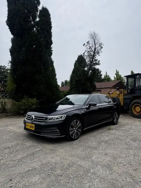 Volkswagen 辉昂 2019