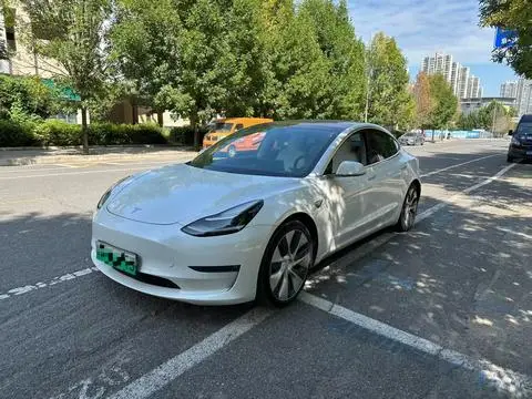 Tesla Model 3 2019