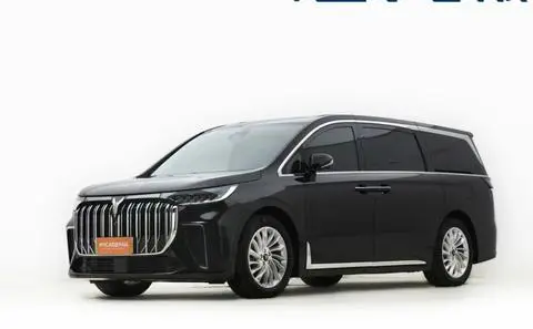 Voyah 梦想家 PHEV 2024