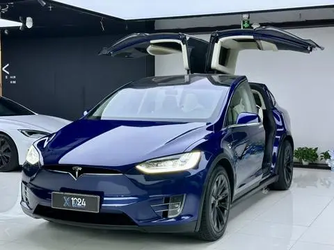 Tesla Model X 2017