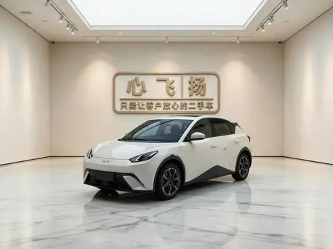 BYD Seagull 2023 — фото 1