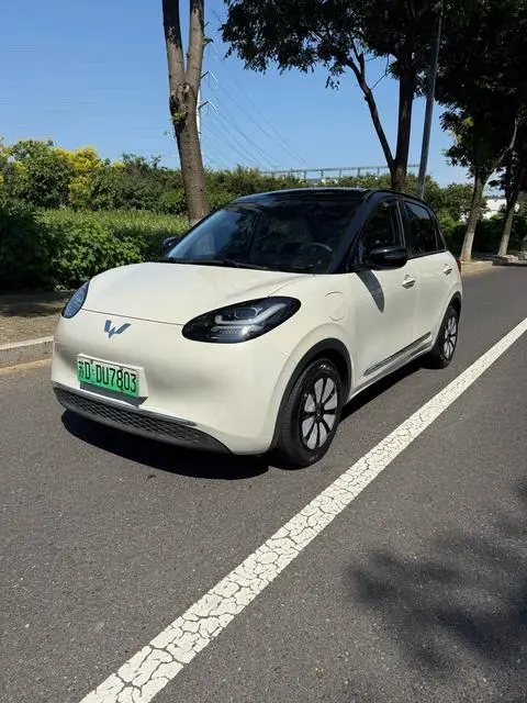 Wuling Bingo 2023