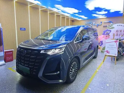 Denza D9 DM 2022