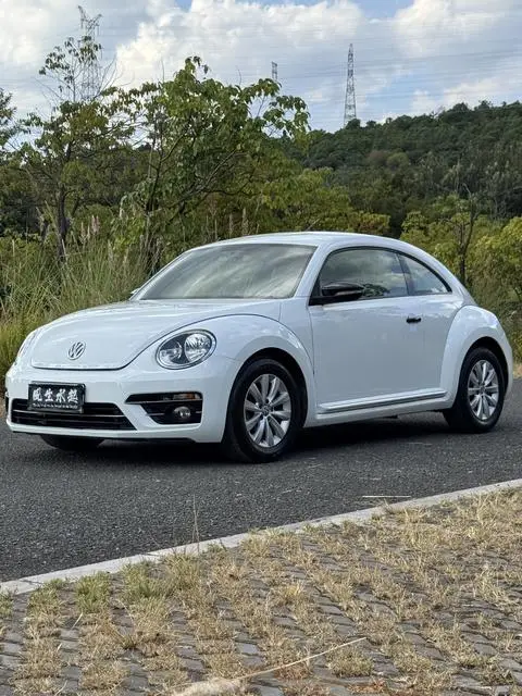 Volkswagen 甲壳虫 2017