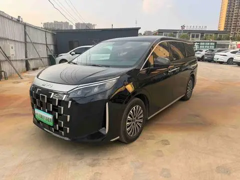 BYD M9 2025