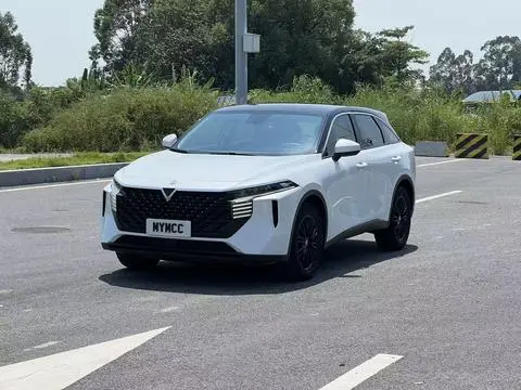 Venucia 大V 2022
