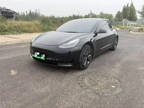 Tesla Model 3 2021 — фото 1