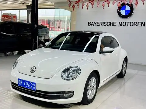 Volkswagen 甲壳虫 2013