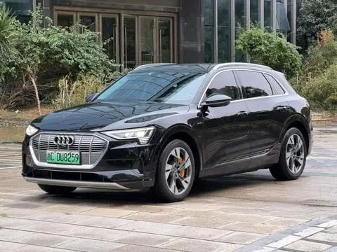 Audi e-tron 2019