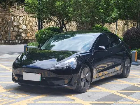 Tesla Model 3 2021 — фото 1