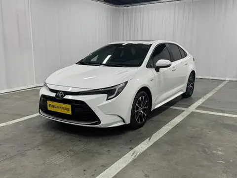 Toyota 雷凌 2024