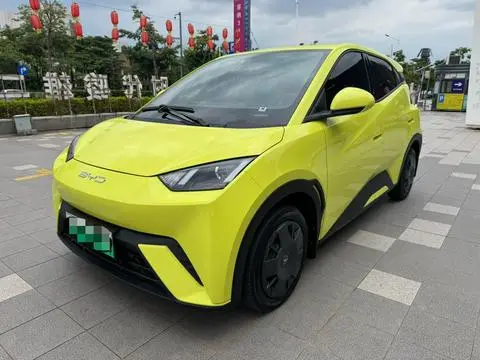 BYD Seagull 2024