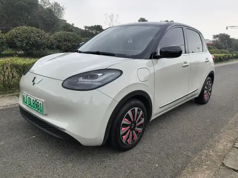 Wuling Bingo 2024