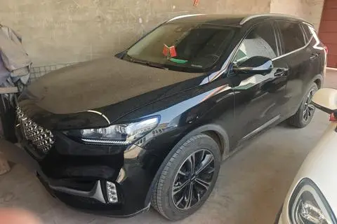 Wey VV6 2021