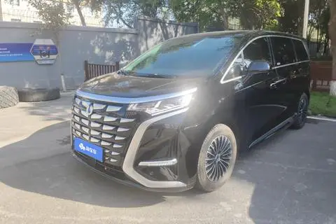 Denza D9 DM 2024