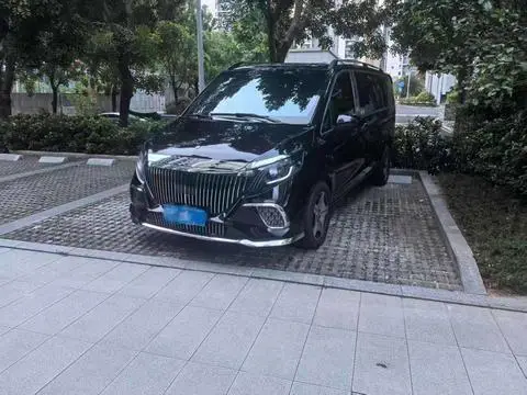Mercedes-Benz 威霆 2023