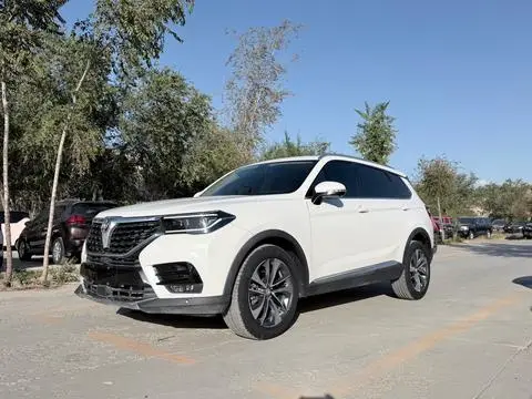 Brilliance V7 2018