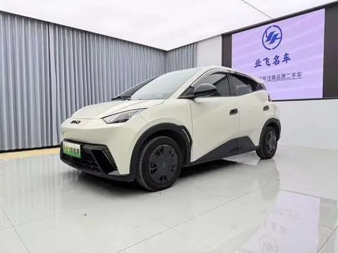 BYD Seagull 2024 — фото 1