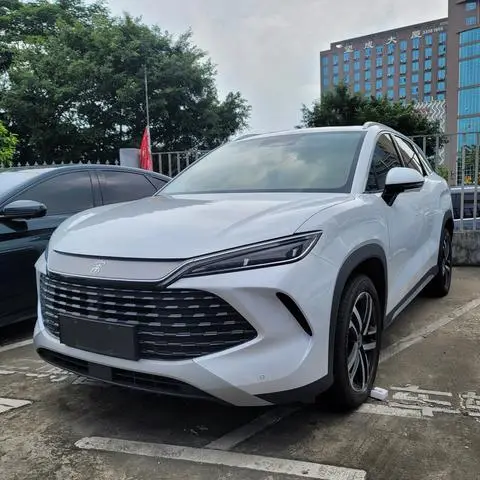 BYD Song L DM 2024