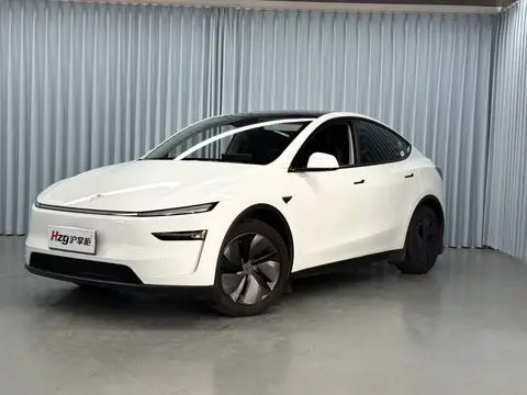 Tesla Model Y 2025 — фото 1
