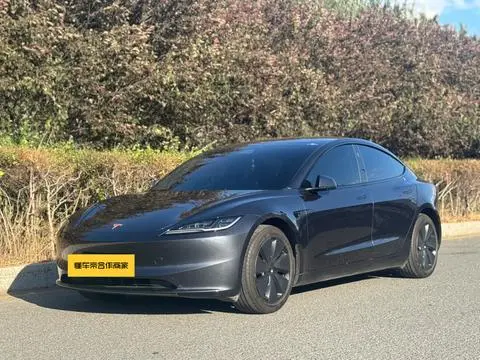 Tesla Model 3 2025