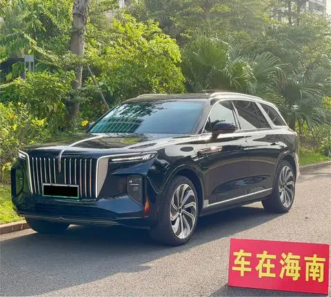 Hongqi E-HS9 2020 — фото 1
