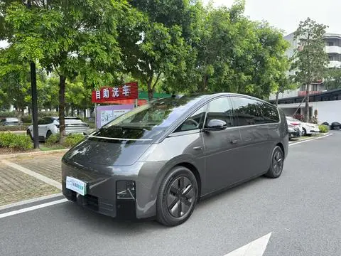 Li MEGA 2025