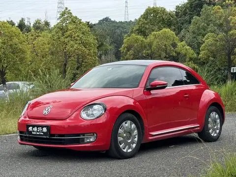 Volkswagen 甲壳虫 2014