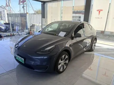 Tesla Model Y 2021 — фото 1