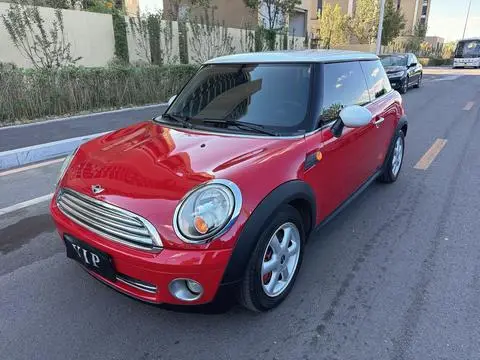MINI MINI 2010