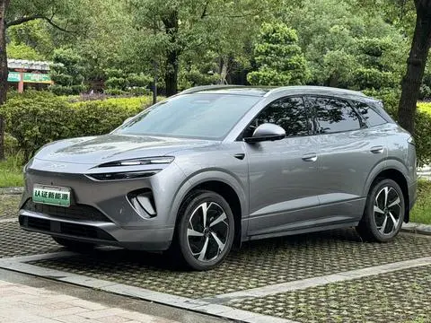 BYD 海狮06EV 2025