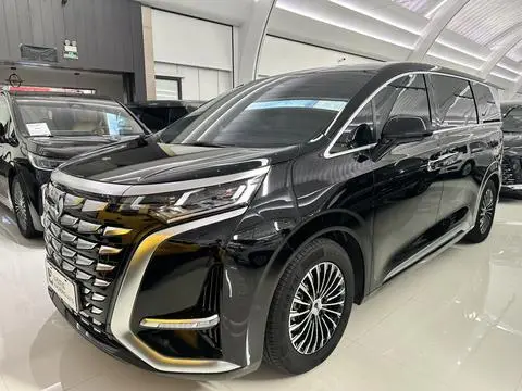 Denza D9 DM 2024
