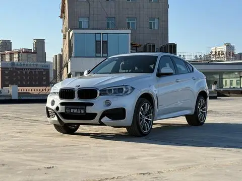 BMW X6 2018