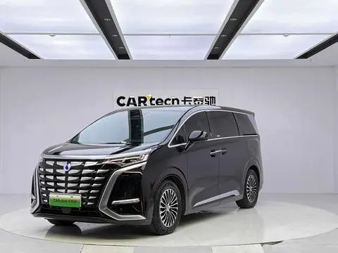 Denza D9 DM 2024